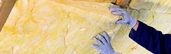 quotes for Great Tree roof insulation